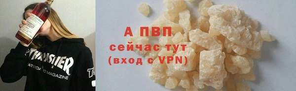 таблы Бородино