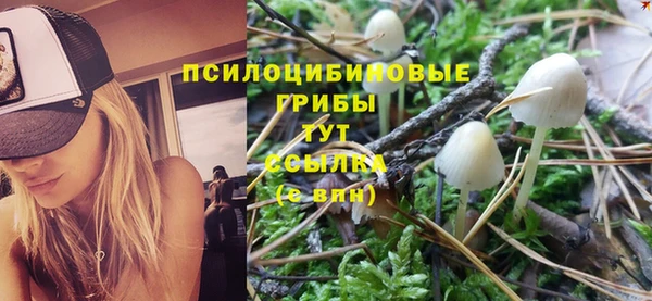 таблы Бородино