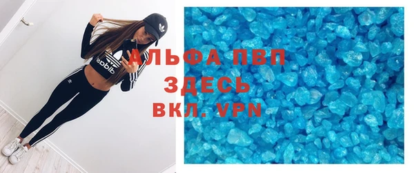 таблы Бородино